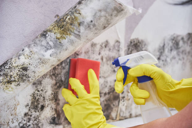 Best Mold Remediation for Healthcare Facilities  in West Milwaukee, WI